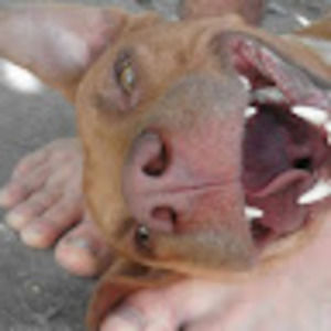 Meet your Posher, Bryan